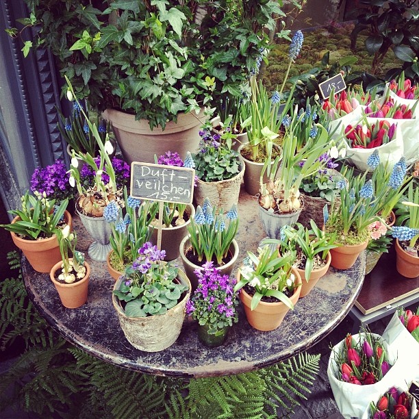 2014-02-15_1392476136