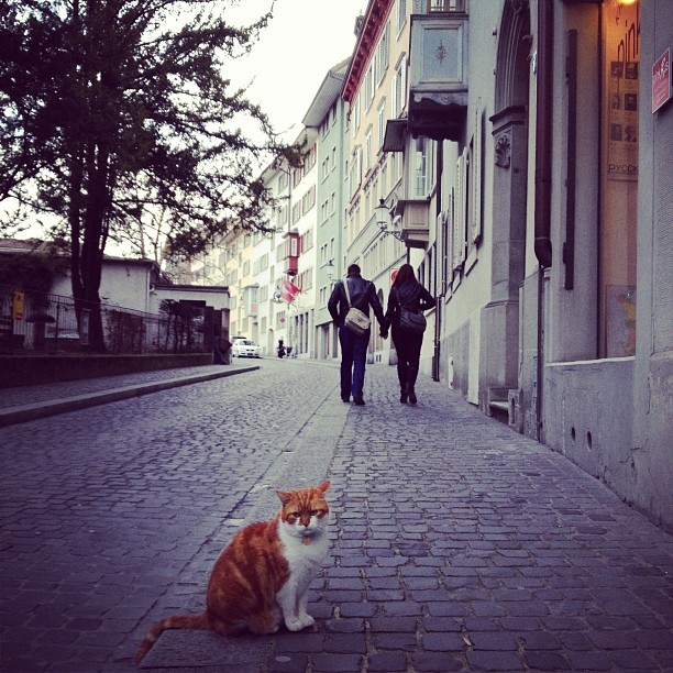 2014-02-16_1392556532