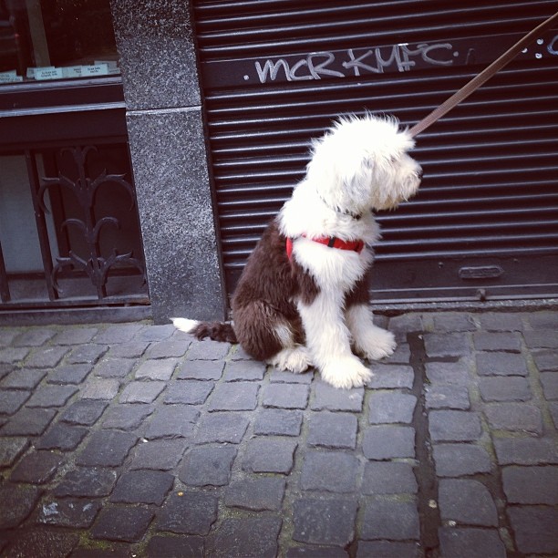 2014-02-16_1392583406