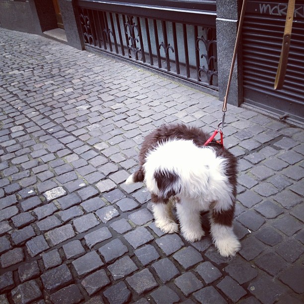 2014-02-16_1392583499