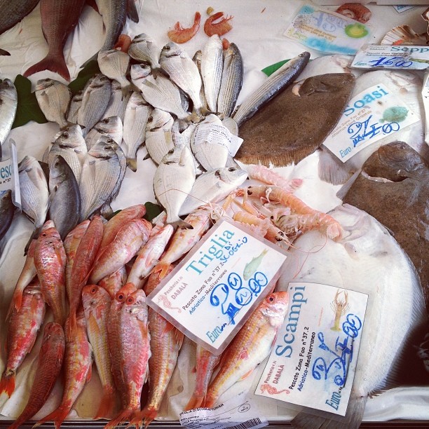 2014-02-22_1393108135