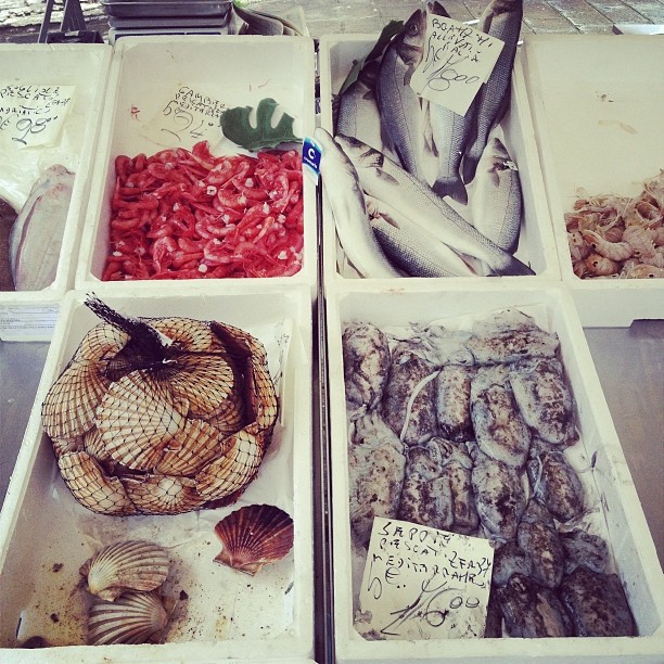 2014-02-22_1393108214