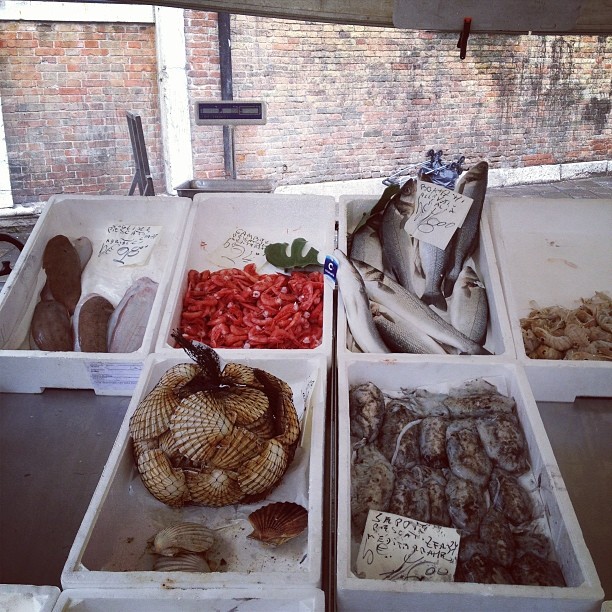 2014-02-22_1393108280