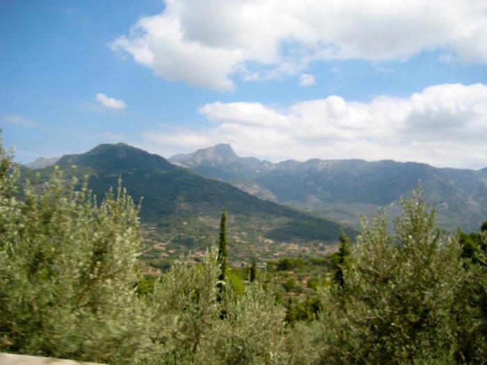 294050_2124095350156_1346451156_n