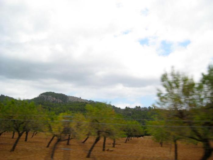 310407_2124093390107_867240263_n