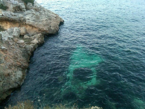 312045_2101976797206_13329715_n