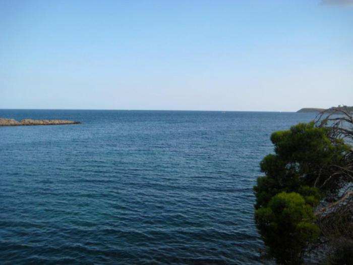 313743_2124105950421_46483542_n