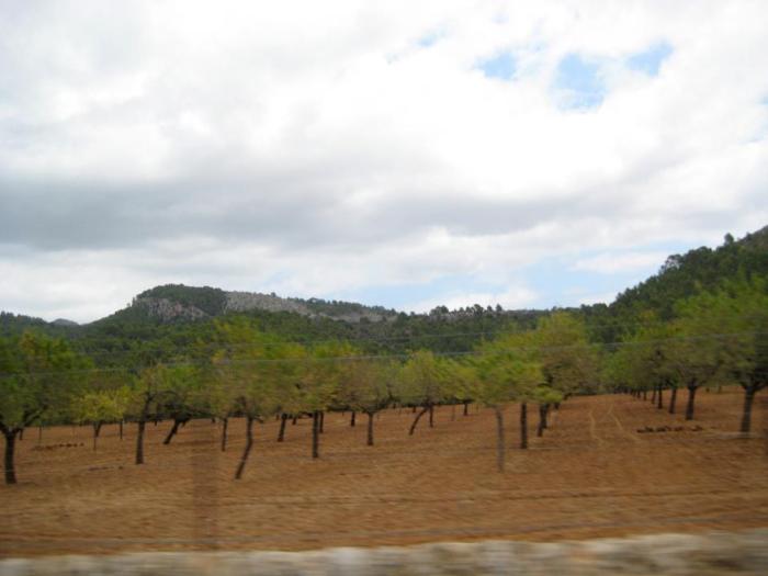 318587_2124093190102_1596370431_n