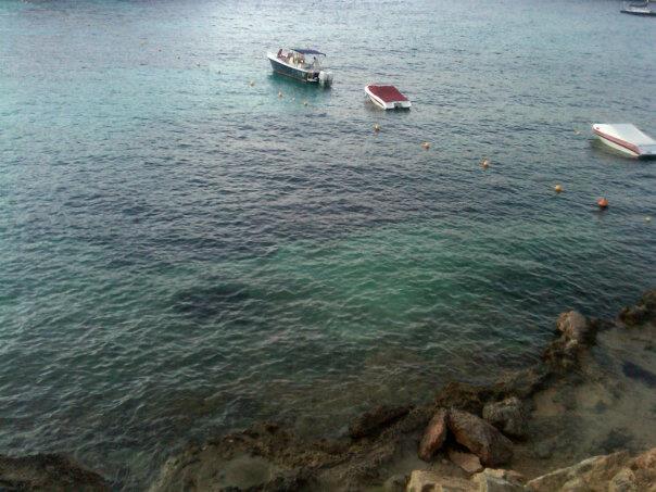 318647_2101977117214_1377420940_n