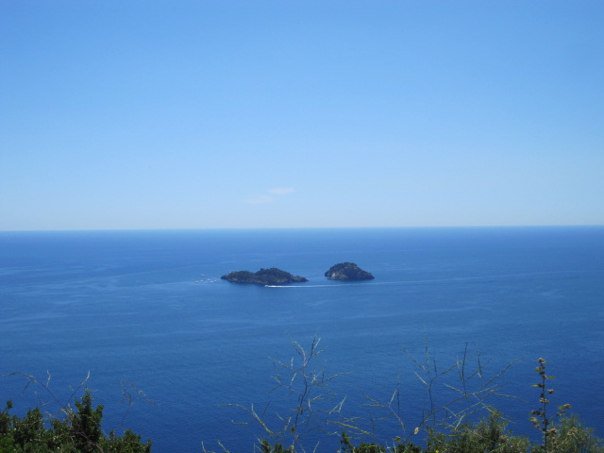 39084_1381251019512_5880788_n