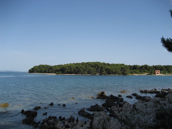 74_1005445144600_9207_n