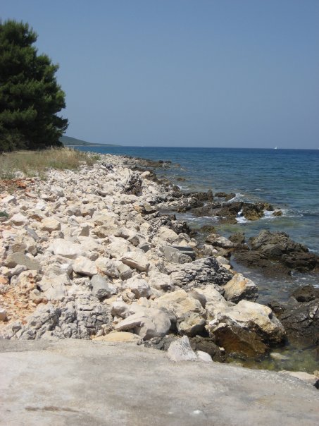 74_1005447744665_1050_n