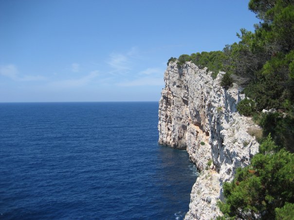 99_1005446464633_995_n