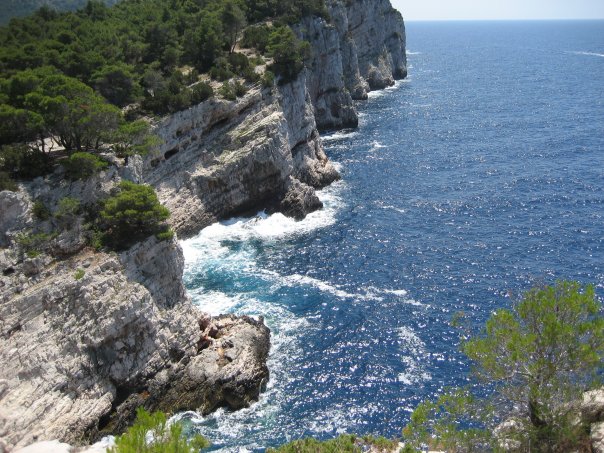 99_1005446504634_2039_n