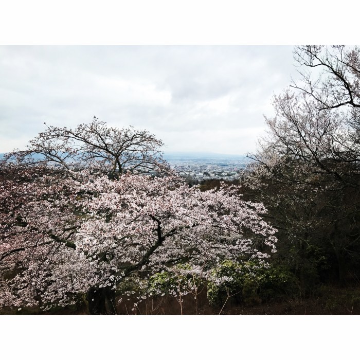 206A1221-6443-4FCA-B9A9-41DD26882828