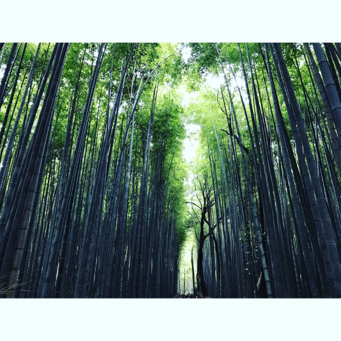 6EBD47AB-9D07-41B7-97B1-9E9580473526