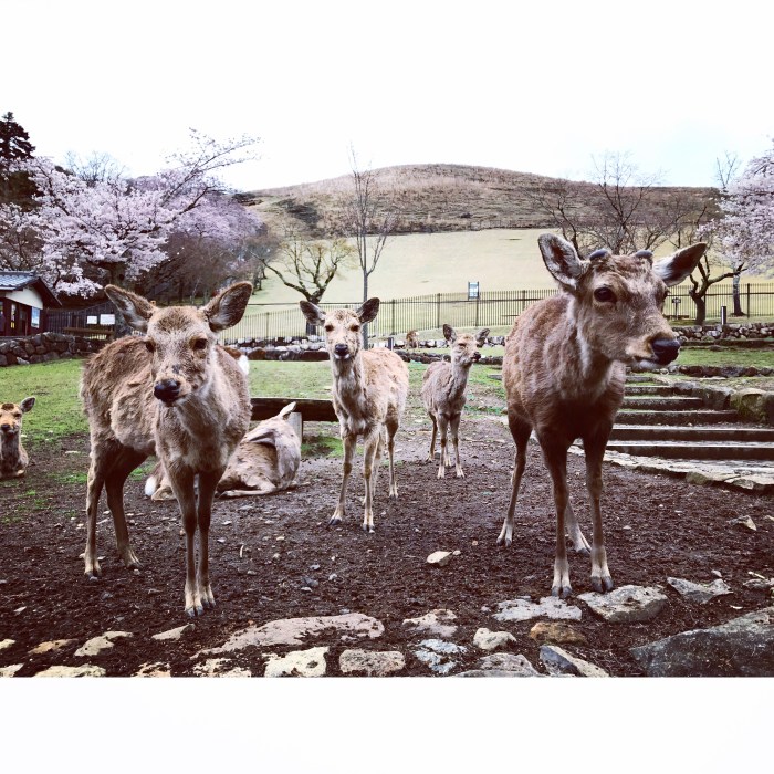 72B058DA-2A2F-4C44-A337-FDE03E4240E3