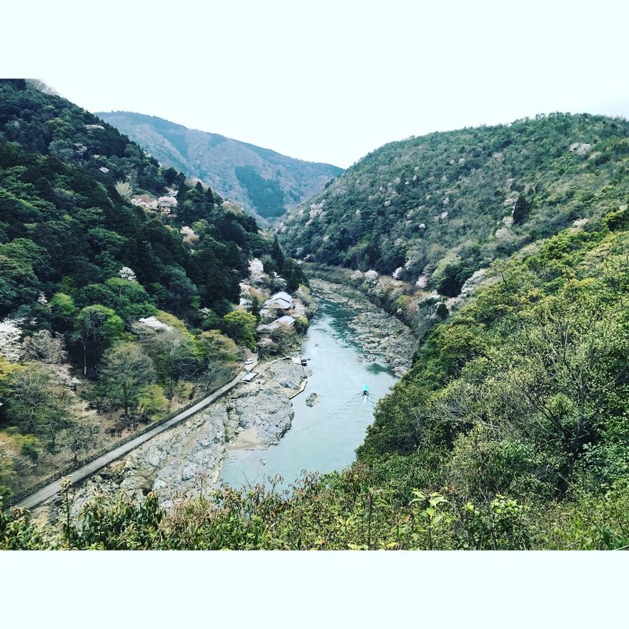 790B3BA4-2FFD-4305-8E20-B7BAF7A77D0D