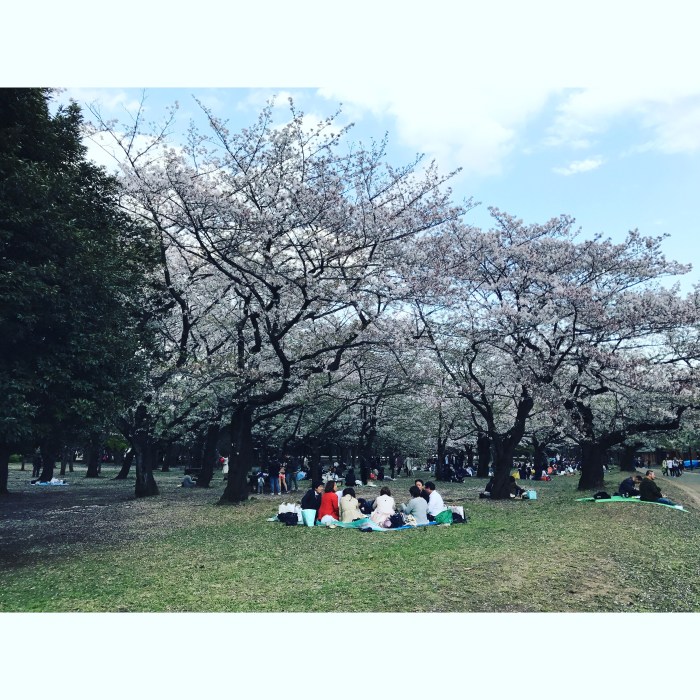 864C4B5B-383F-4288-B60F-AE1080609392