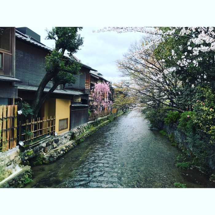 B57F5093-284F-49D8-B0FF-24DDE0D23988